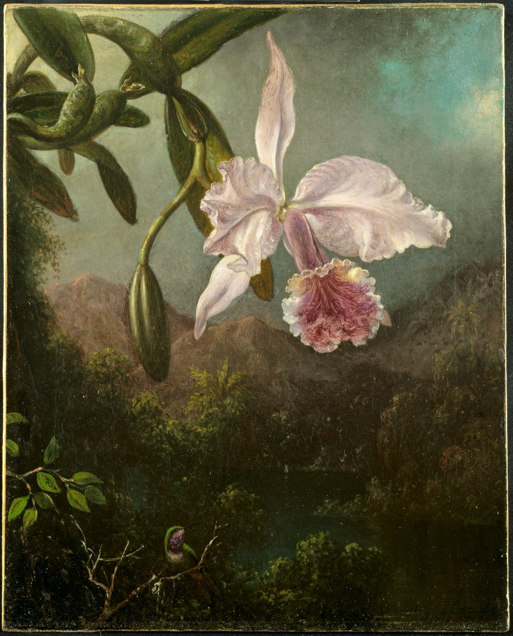 Orchid Blossoms, 1873. av Martin Johnson Heade