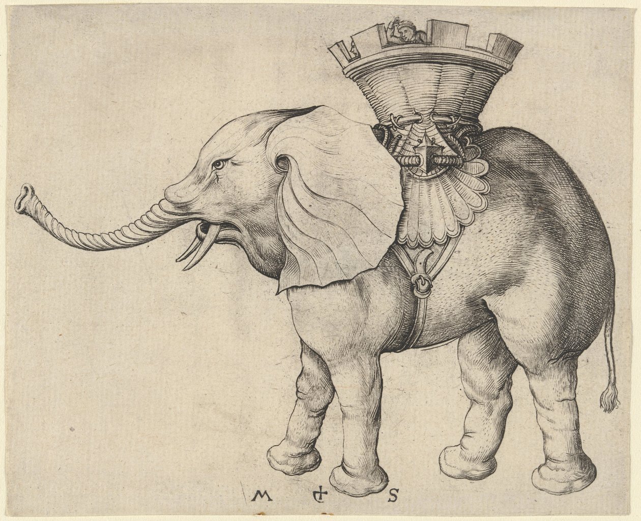 Elefant av Martin Schongauer