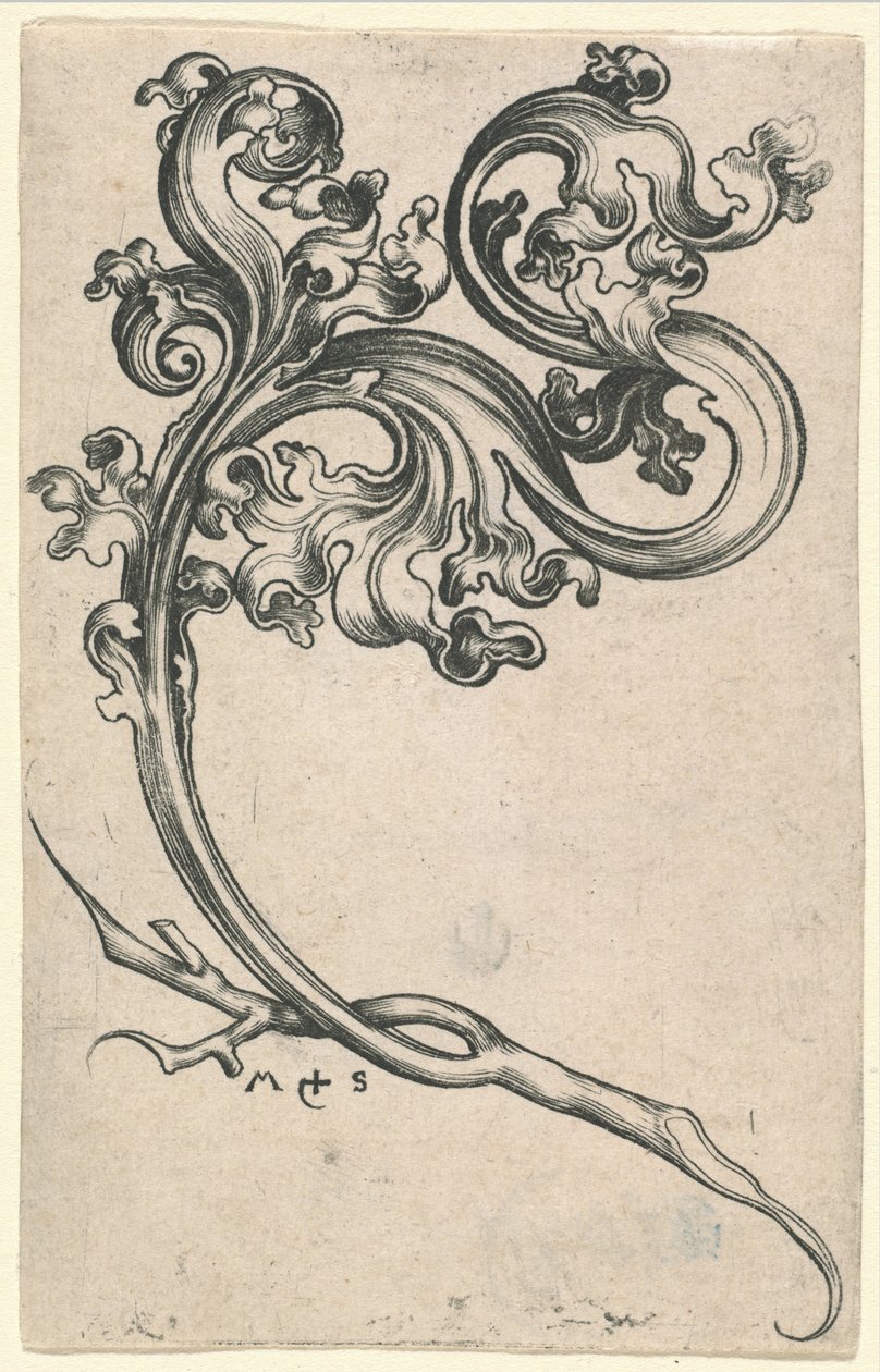 Blad Ornament av Martin Schongauer
