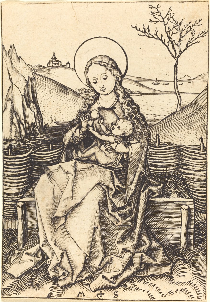 Jomfru og barn på en gresskledd benk av Martin Schongauer