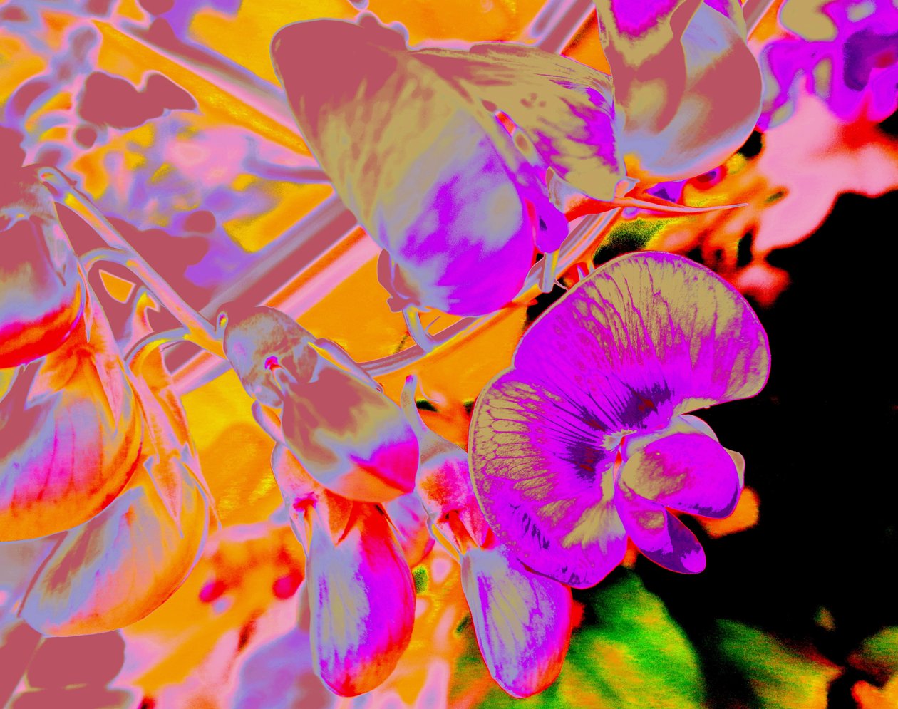 Sommerblomster av Martina Konitzky