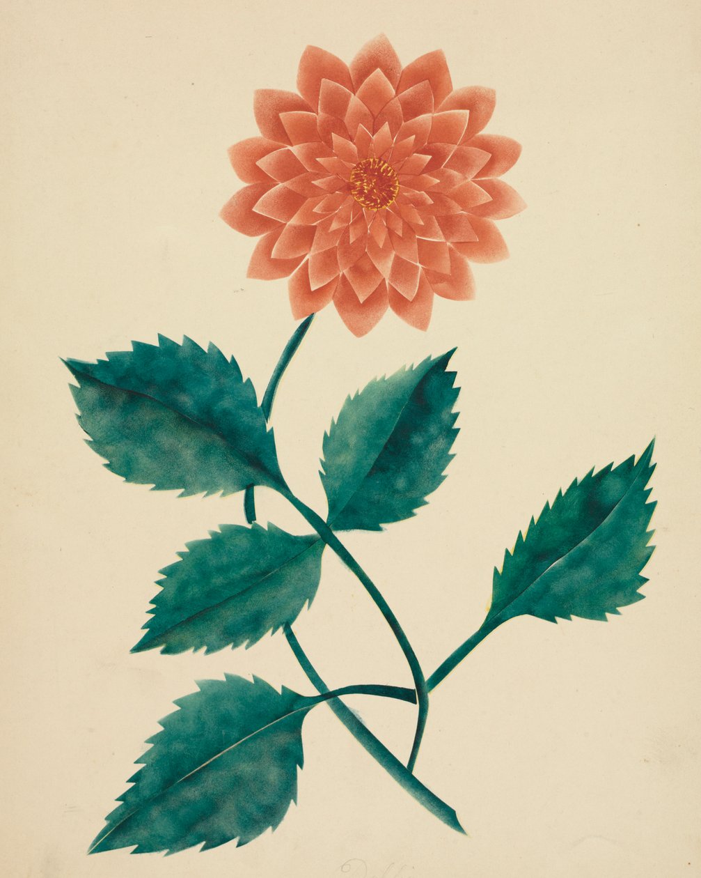 Dahlia. av Mary Altha Nims