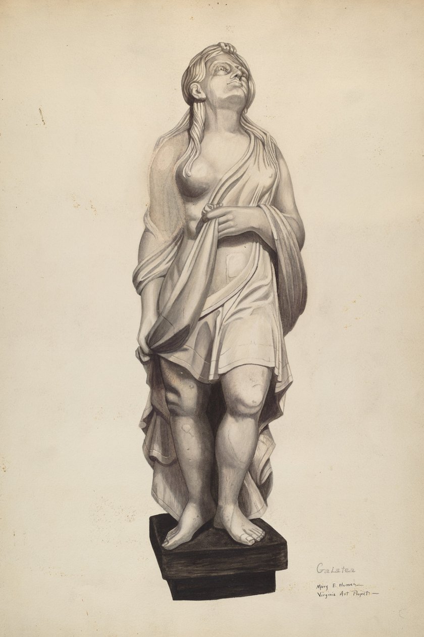 Galatea figurhode, ca. 1940. av Mary E Humes