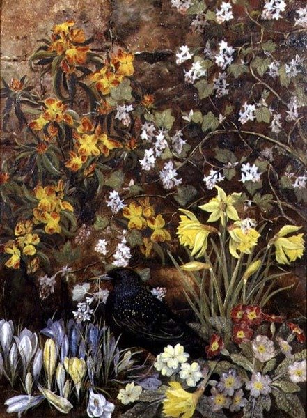 Vårblomster av Mary Ensor