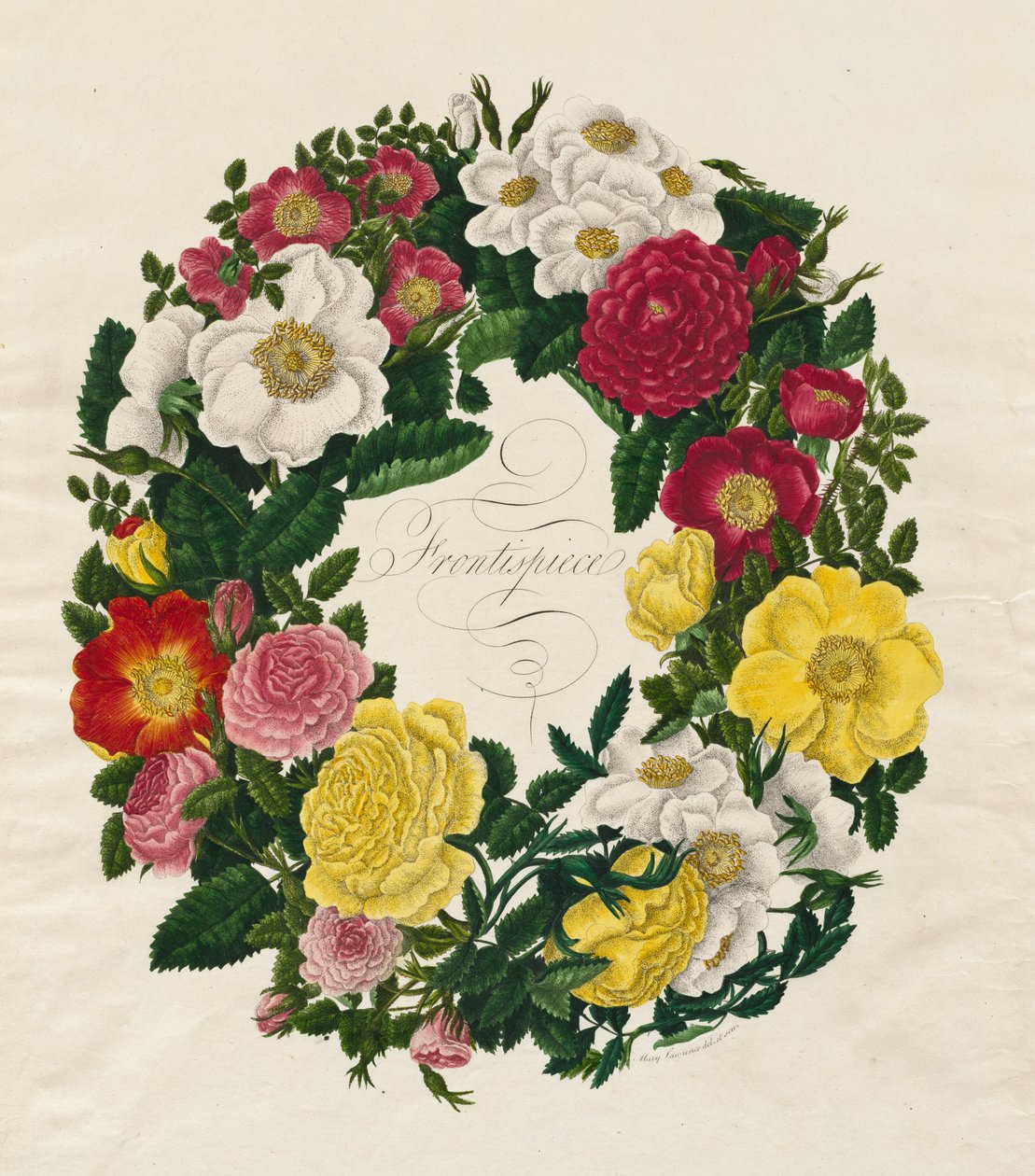 En krans av roser, 1799. av Mary Lawrence