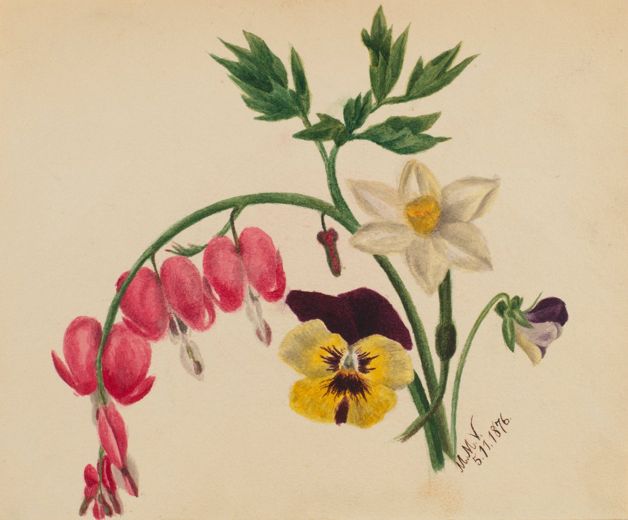 Uten tittel – blandede blomster, 1876. av Mary Vaux Walcott