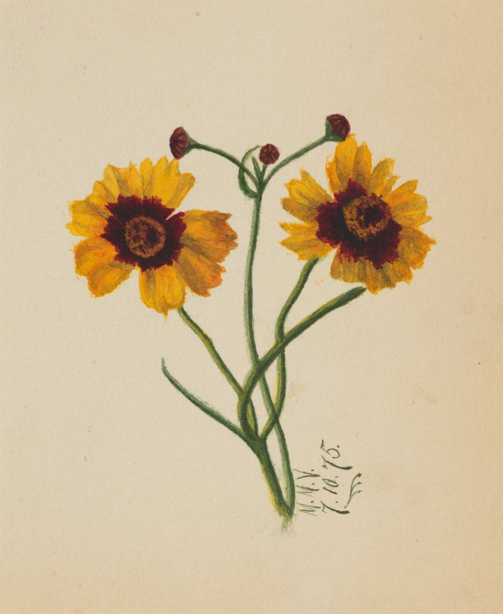 Uten tittel, 1875. av Mary Vaux Walcott