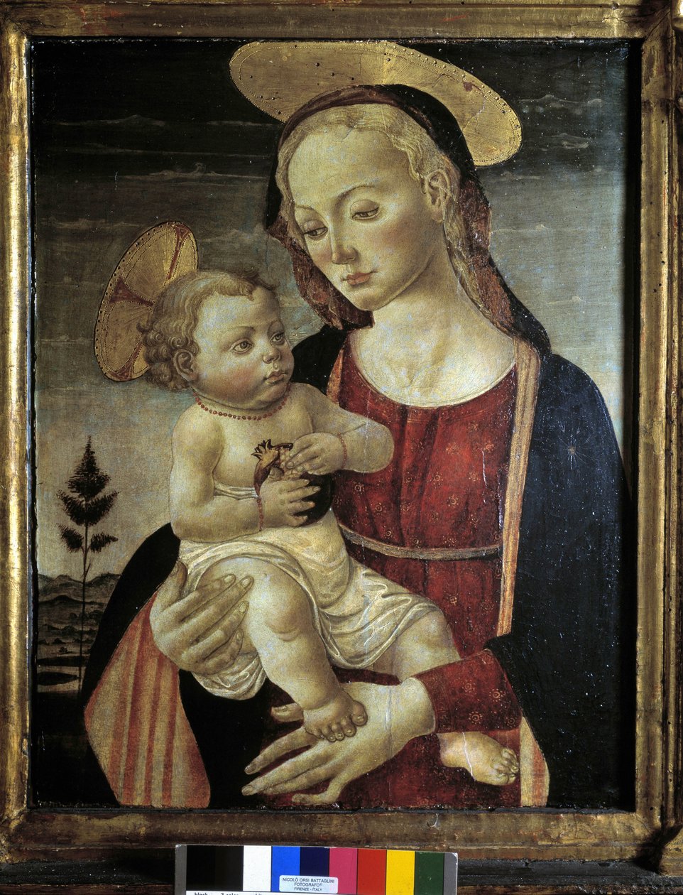 Ukjent bilde av Master of San Miniato