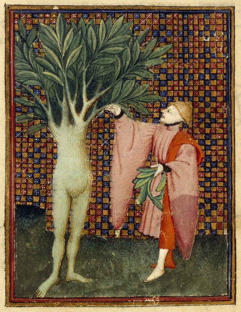 Apollo og Daphne av Master of the Cité des Dames