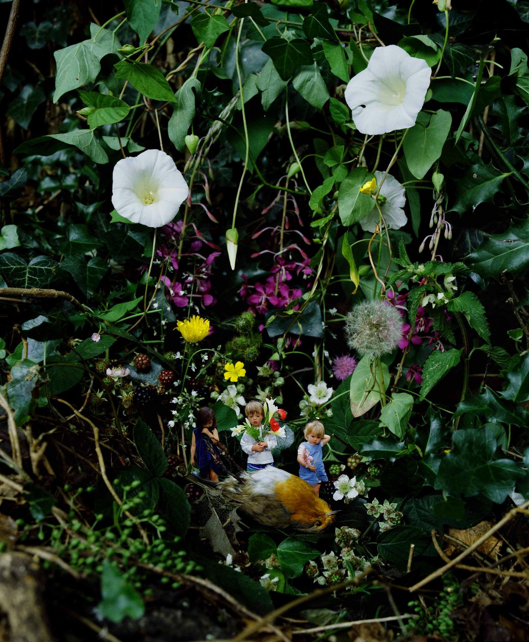  av Mat Collishaw