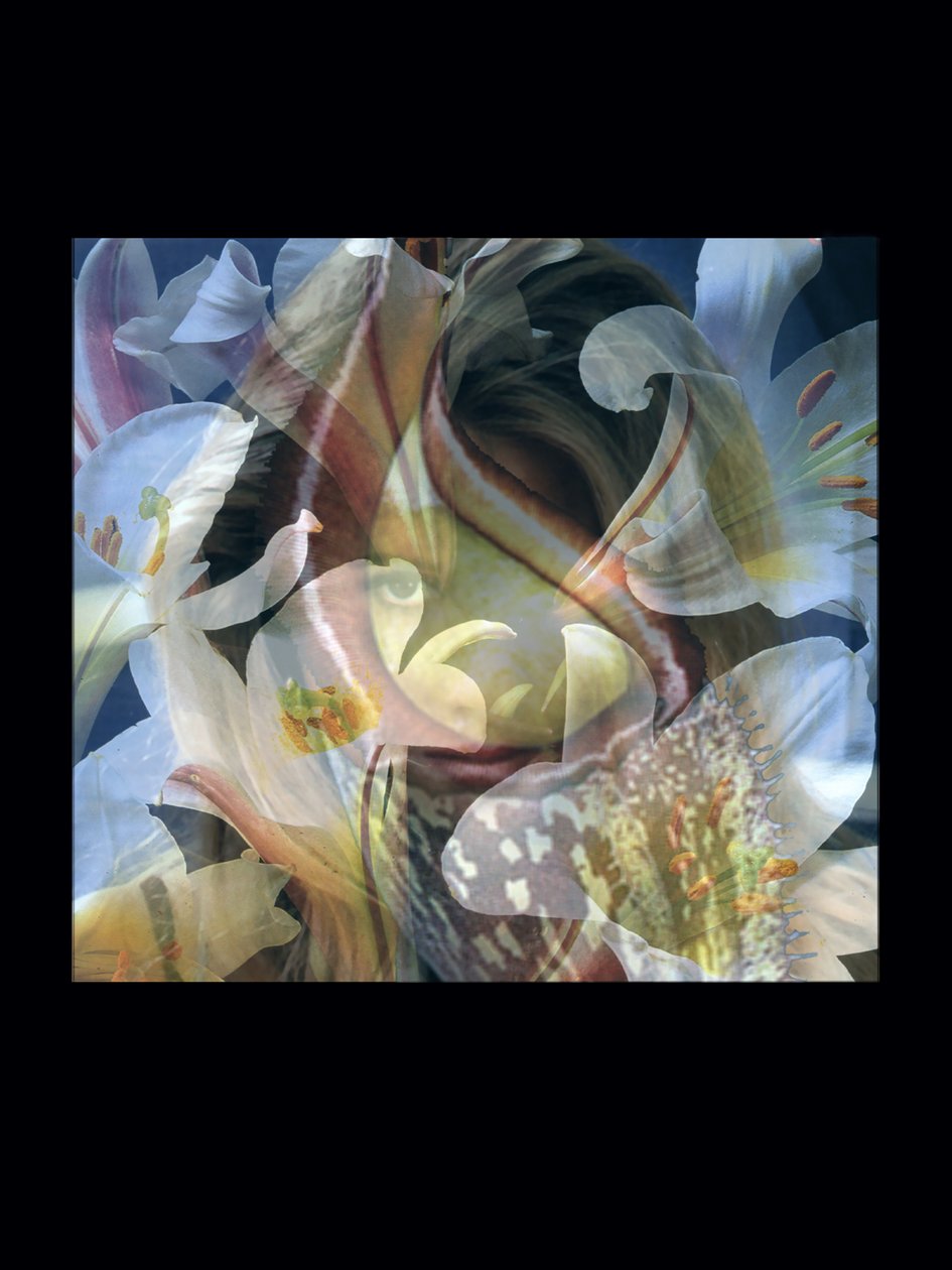  av Mat Collishaw