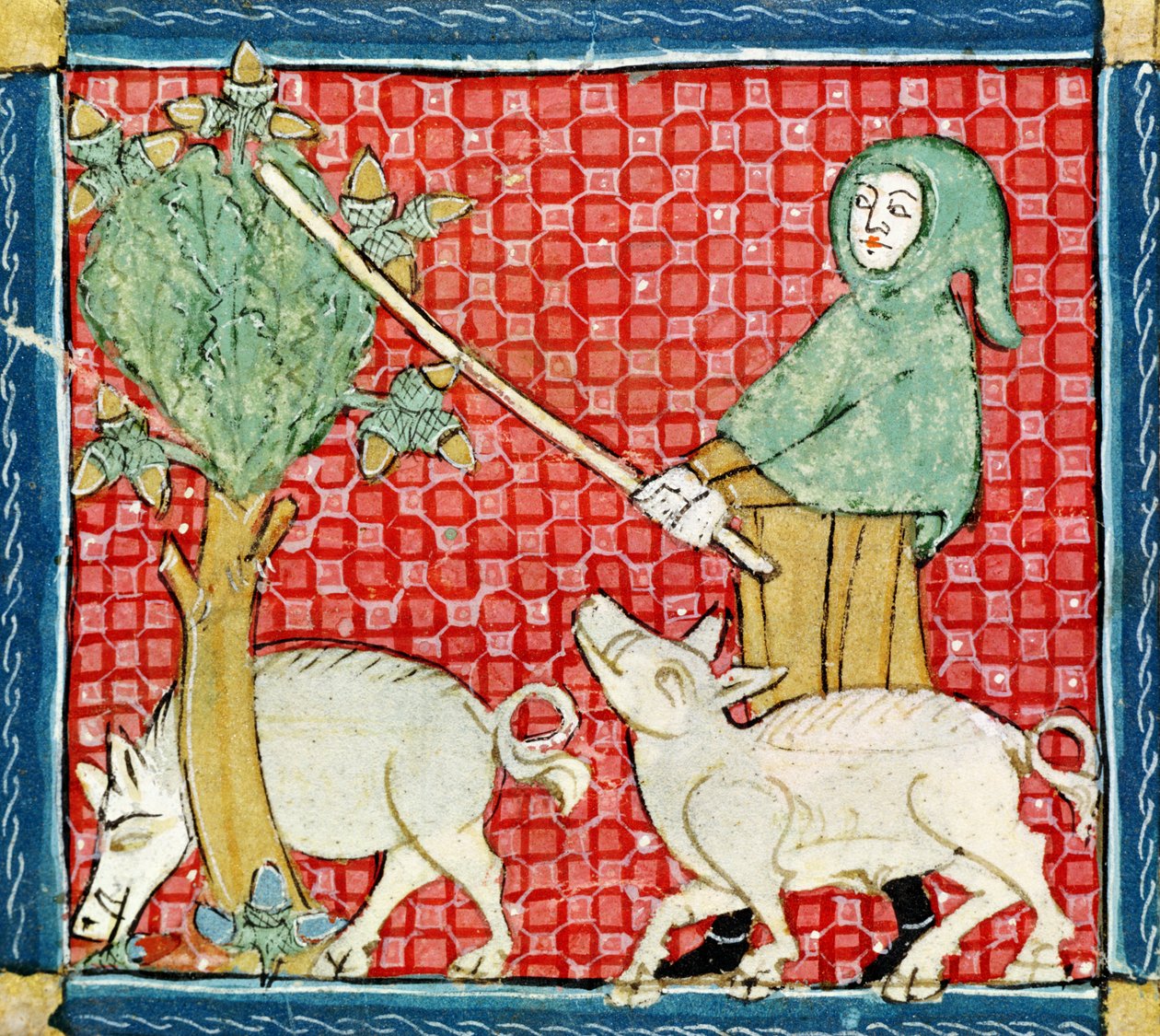 Fol.59v november: Samling av eikenøtter av Matfre Ermengaut