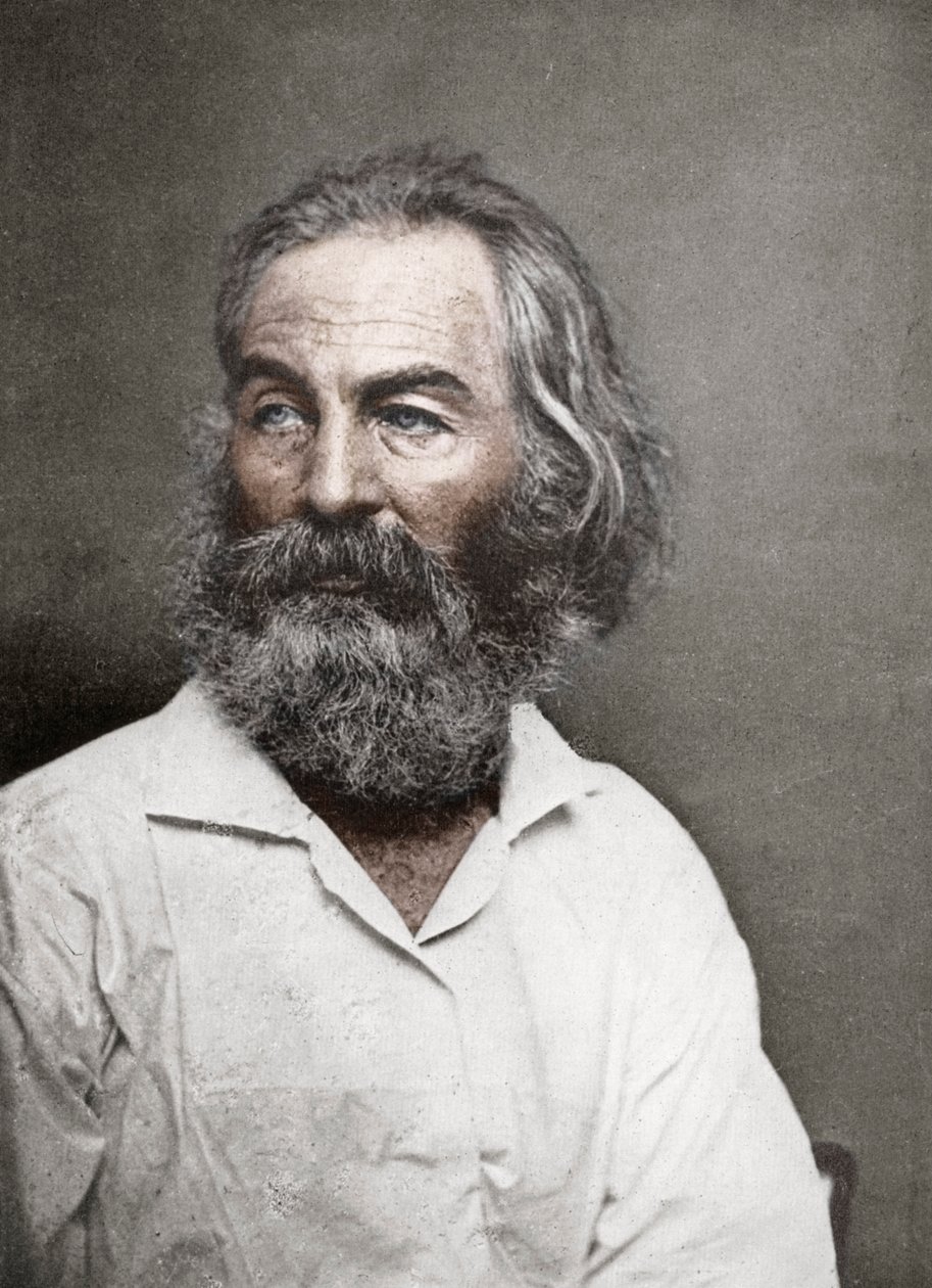Walt Whitman , amerikansk poet, ca 1880-tallet. av Mathew B. Brady