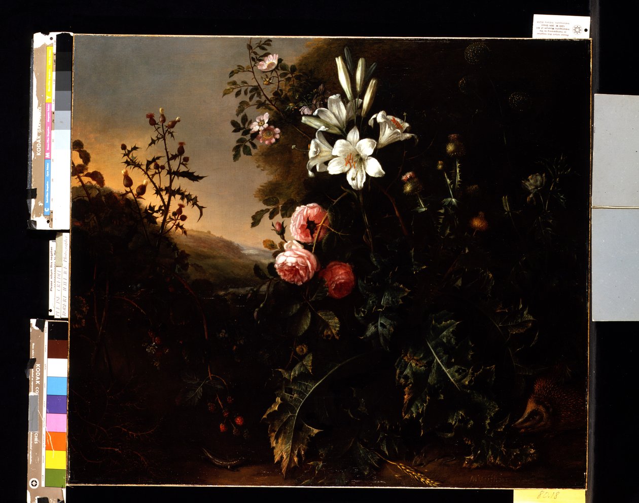 Stilleben, ca. 1670 (olje på lerret) av Matthias Withoos