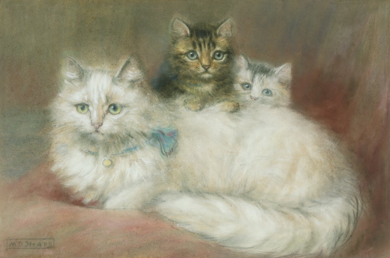 En perserkatt og kattungene hennes av Maud D. Heaps