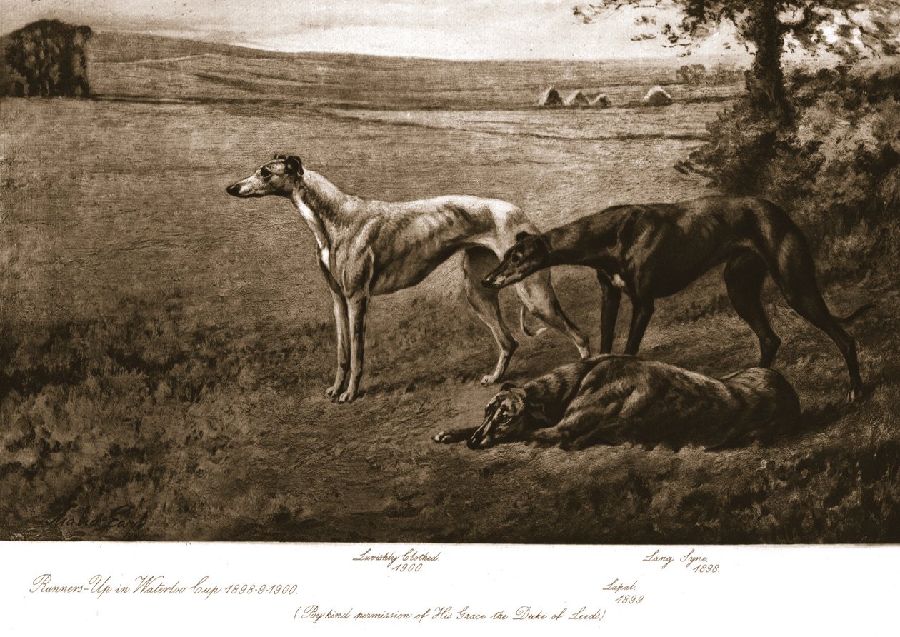 Duke of Leeds-hundene, 1911. av Maud Earl