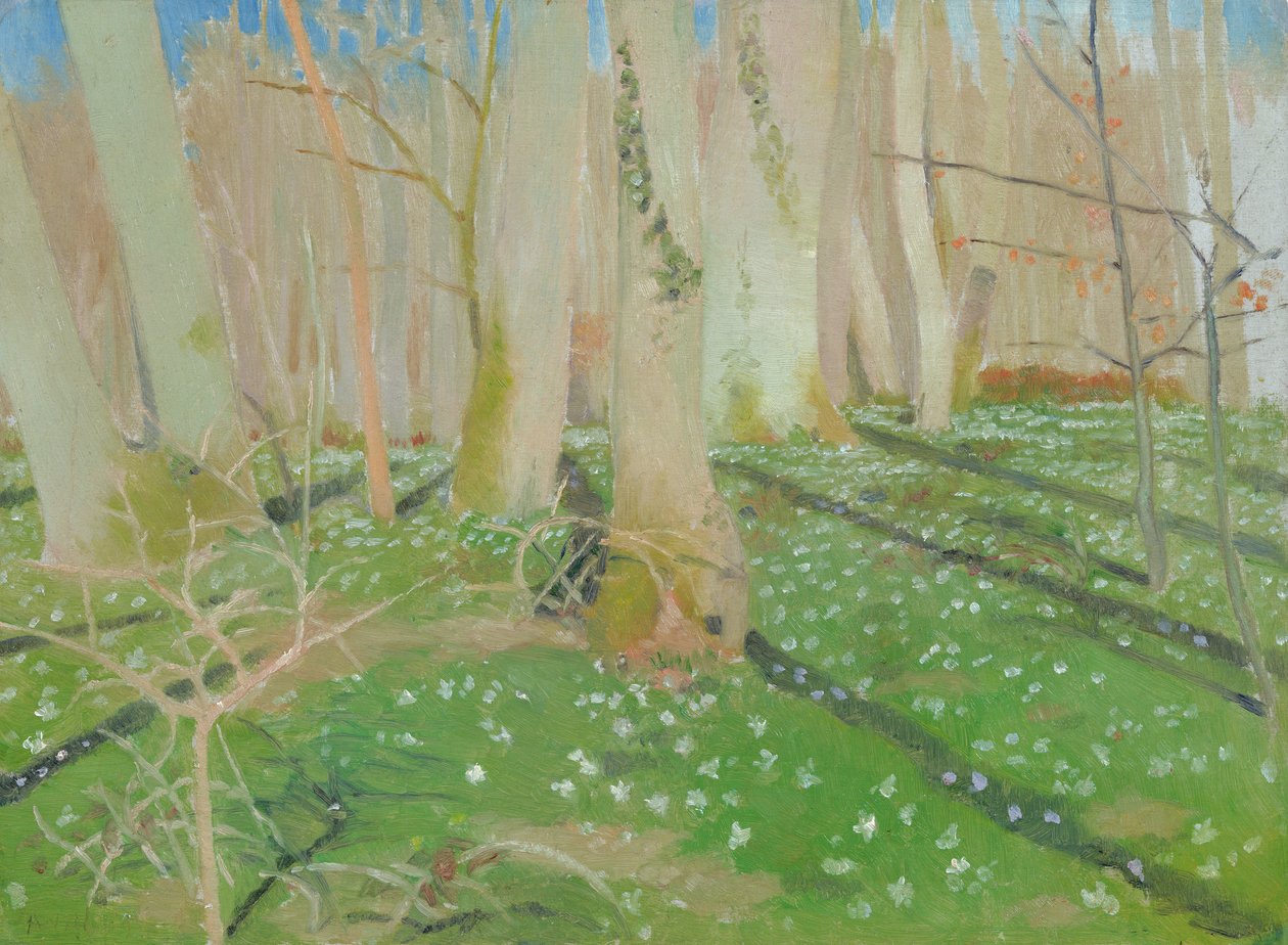 Skog med anemoner, 1889 (olje på kort) av Maurice Denis