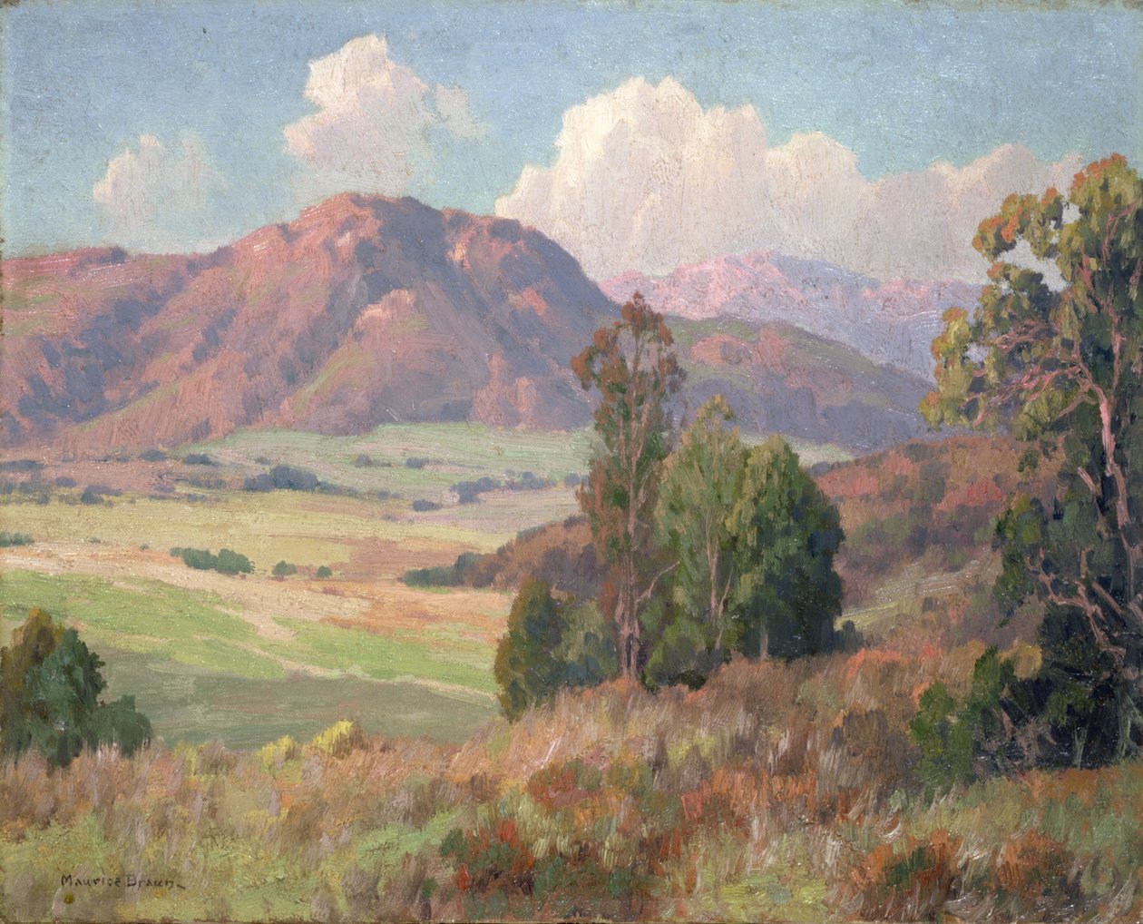 San Diego Hills (olje på lerret) av Maurice Braun