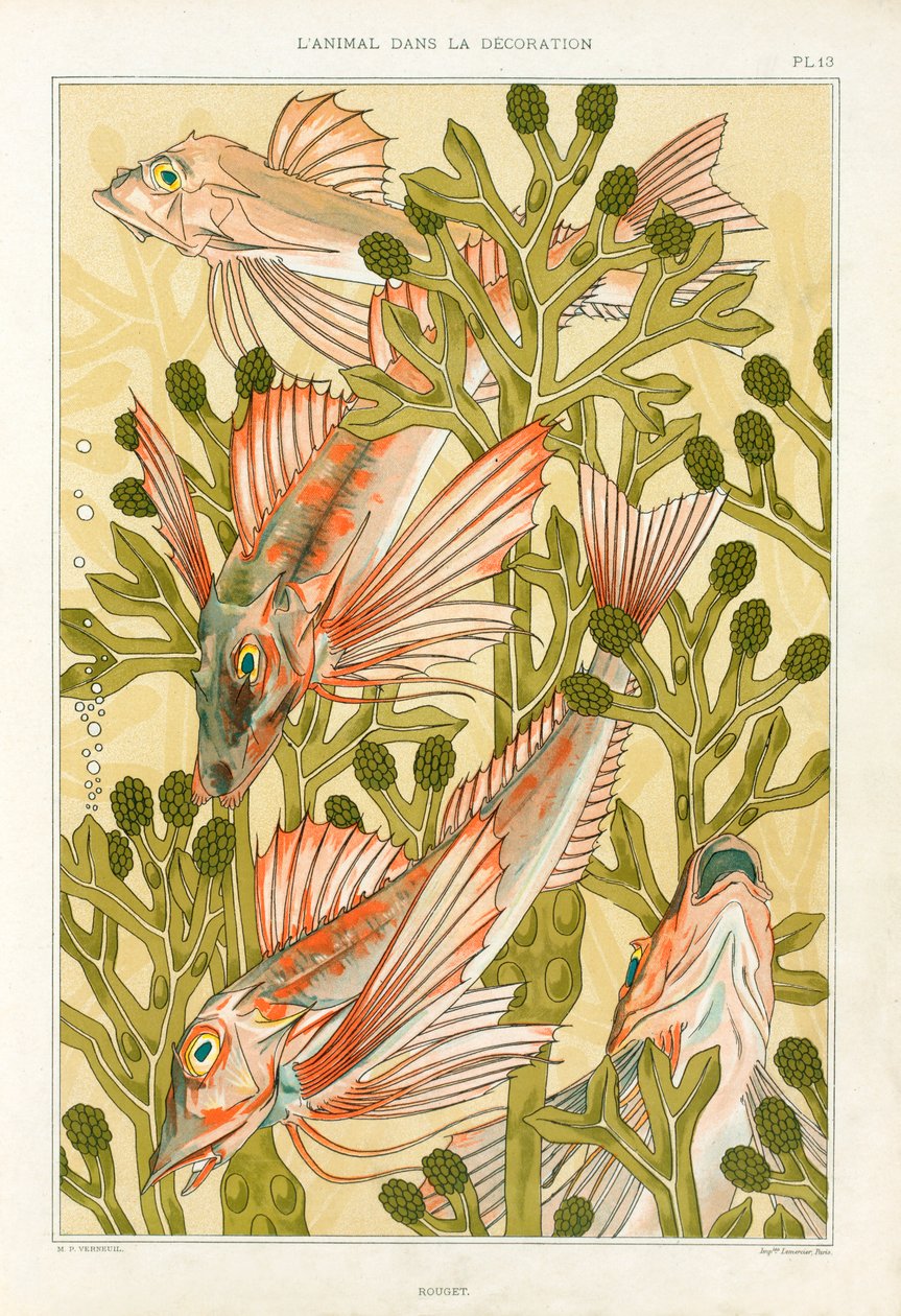 Red Mullet, pub. 1897. av Maurice Pillard Verneuil