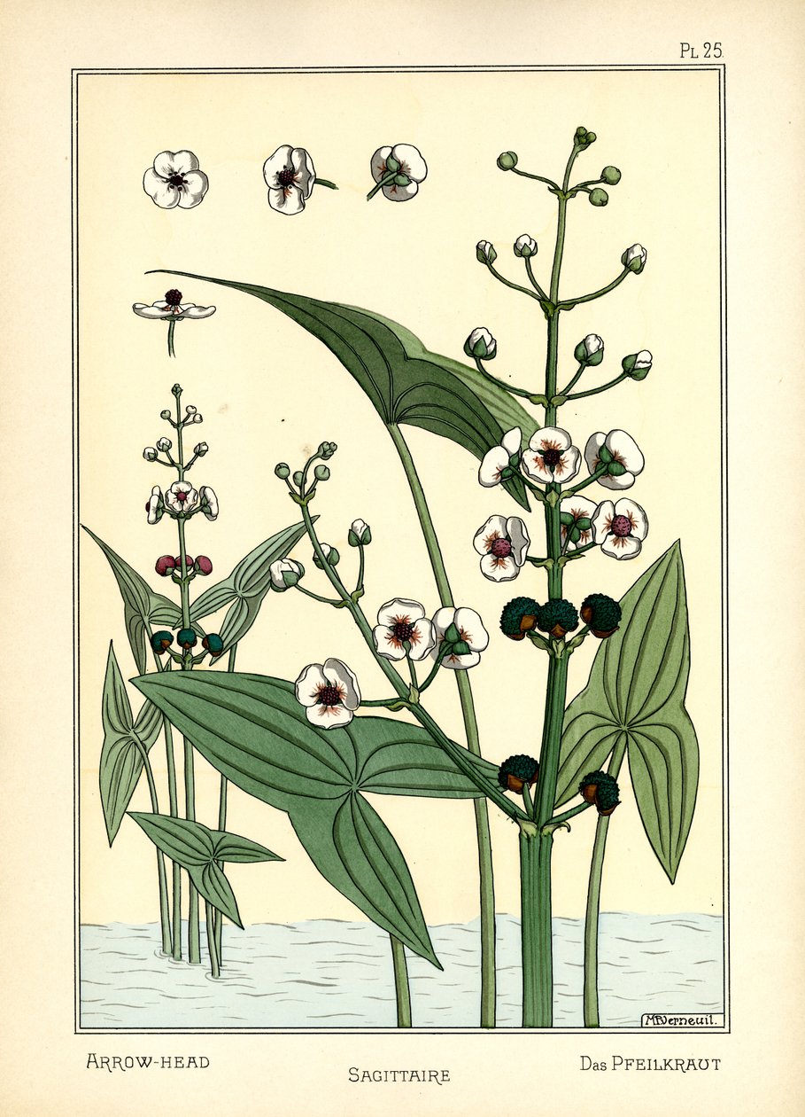 The Arrowhead (farge litho) av Maurice Pillard Verneuil