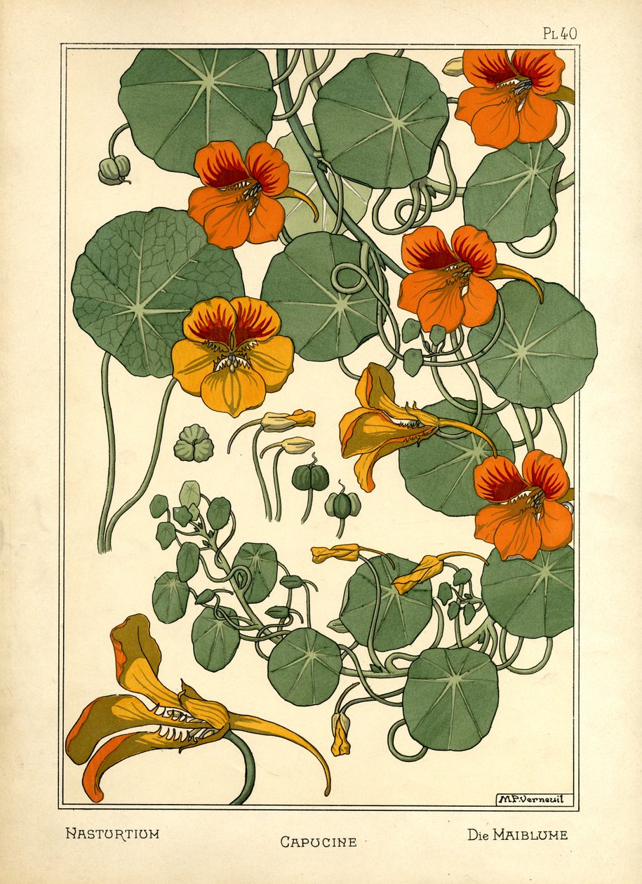 Nasturtium (farge litho) av Maurice Pillard Verneuil