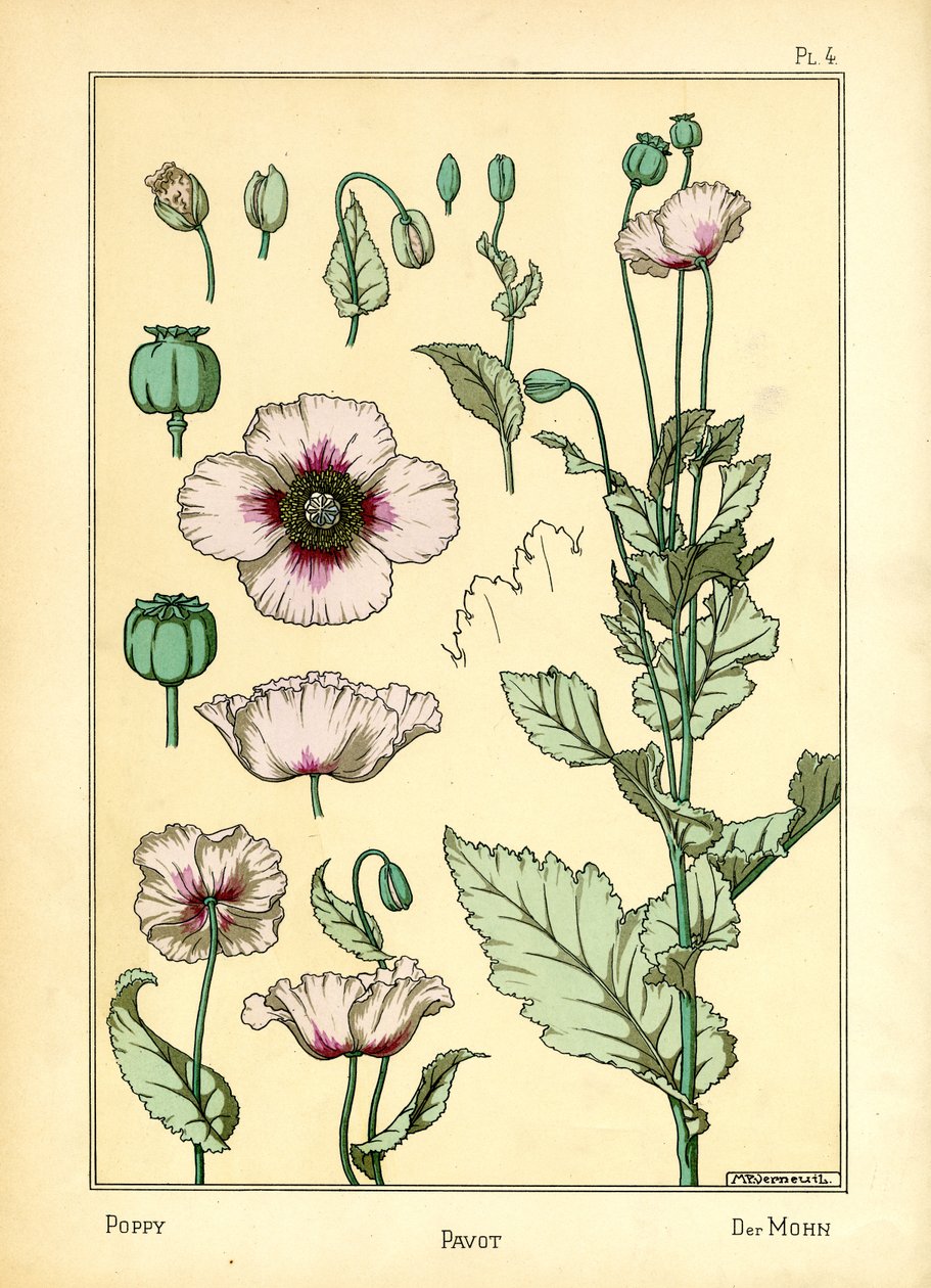 Valmuen (farge litho) av Maurice Pillard Verneuil