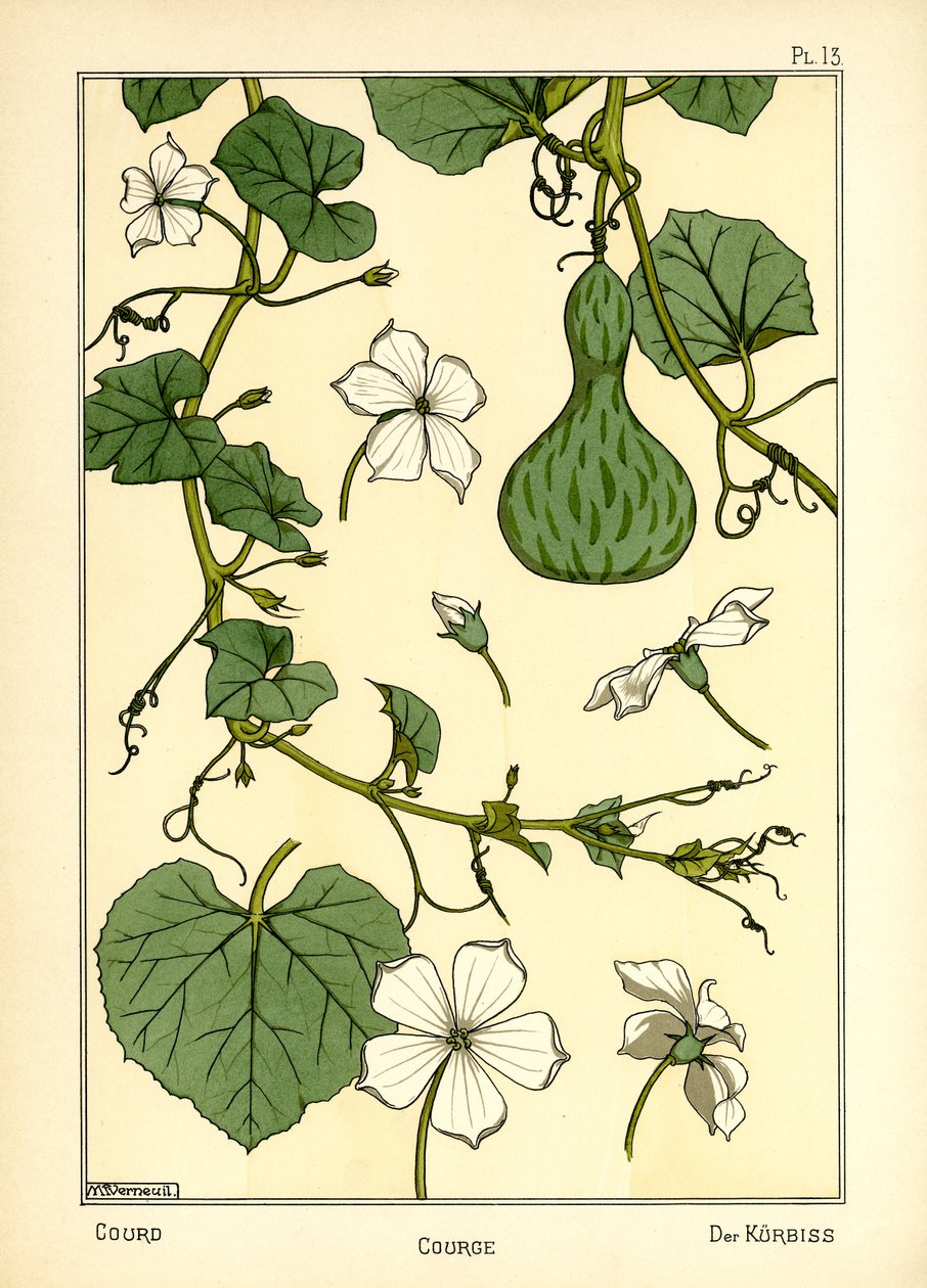 Gresskaret (farge litho) av Maurice Pillard Verneuil