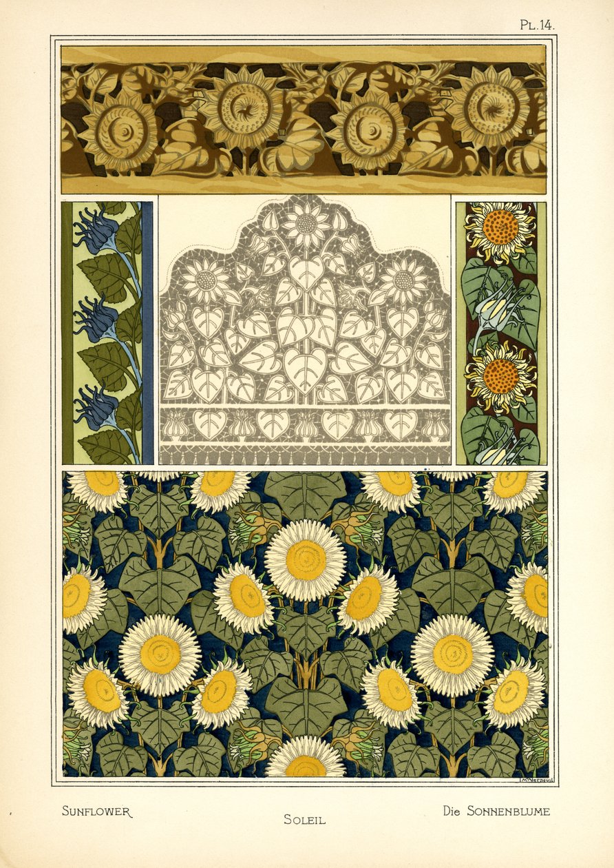 Solsikken (farge litho) av Maurice Pillard Verneuil