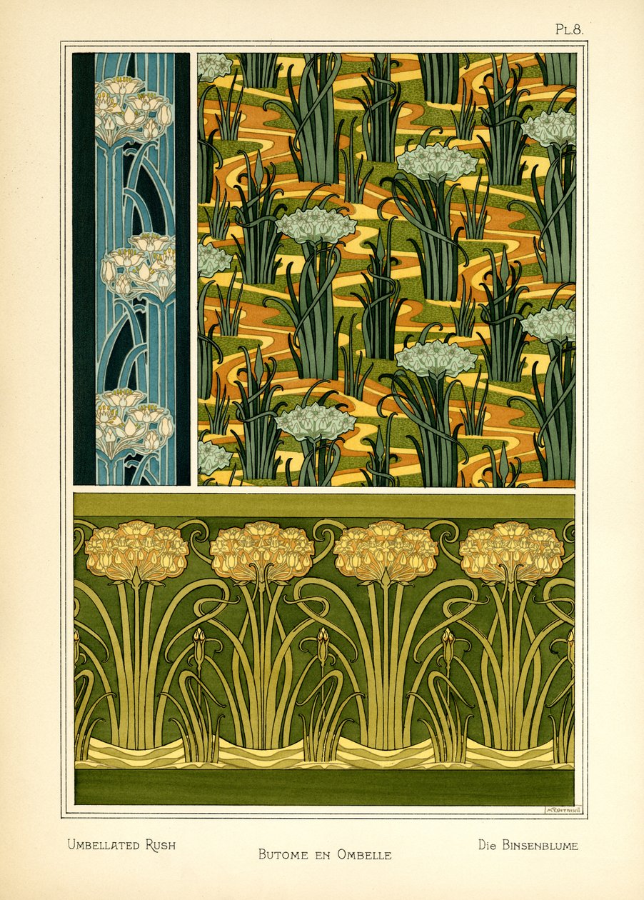 The Umbellated Rush (farge litho) av Maurice Pillard Verneuil
