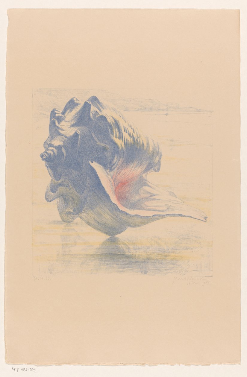 Shell av Maurits van der Valk (signed by artist)