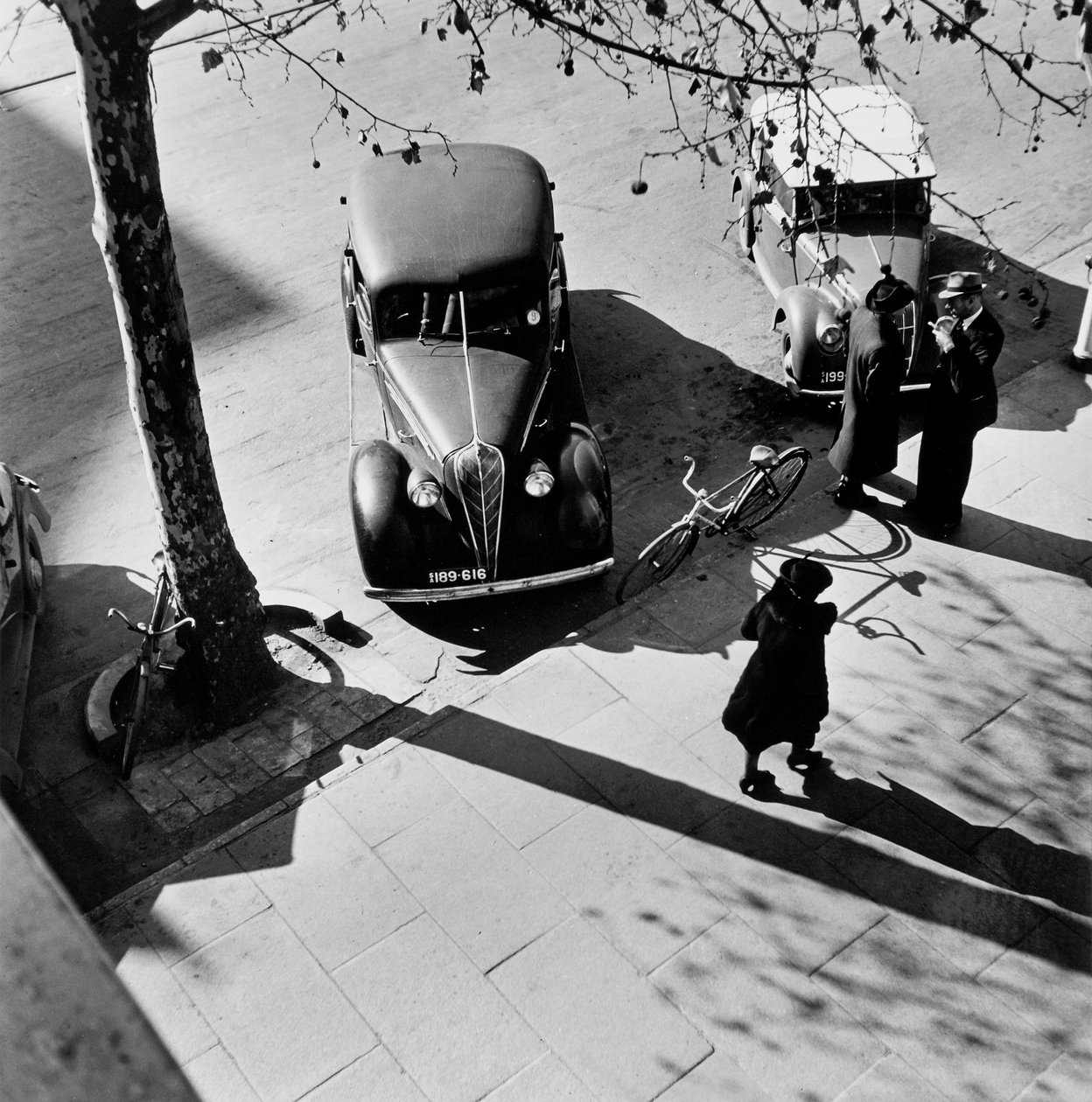 Adelaide av Max Dupain