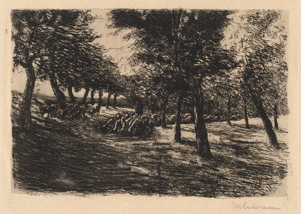 flokk med sauer under trær av Max Liebermann