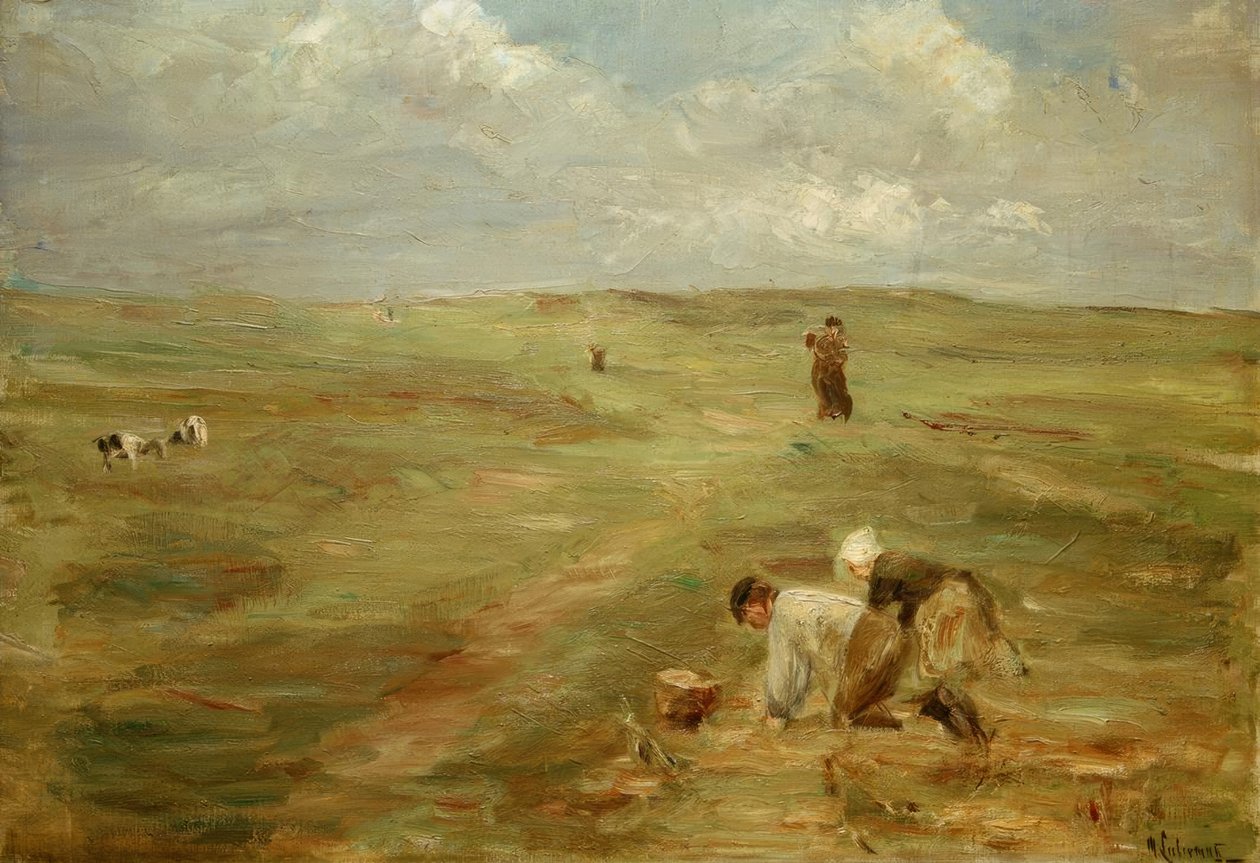 Potetgravere i sanddynene i Zandvoort av Max Liebermann