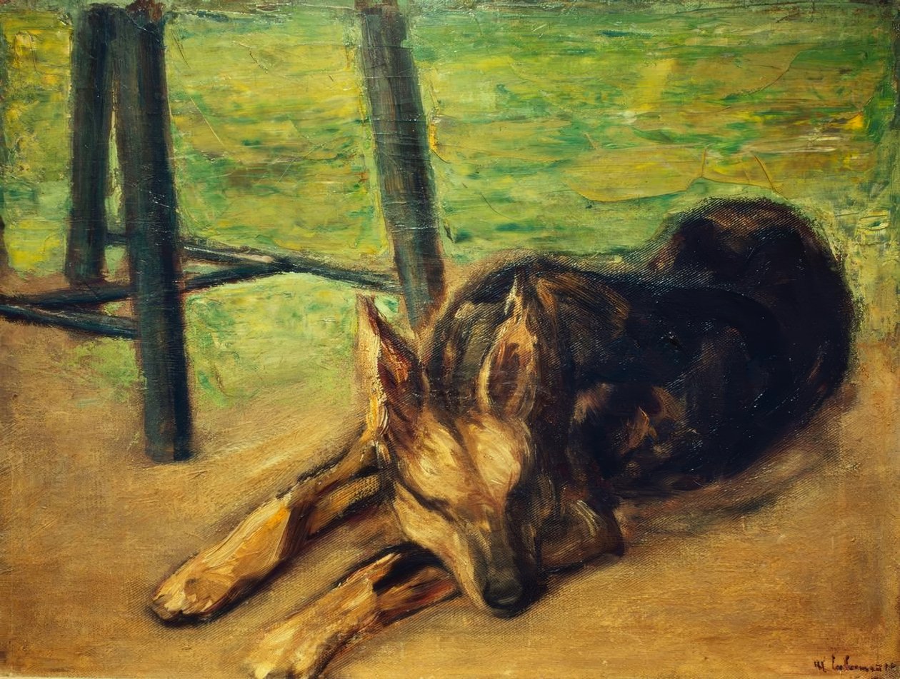 Sovende schæferhund av Max Liebermann