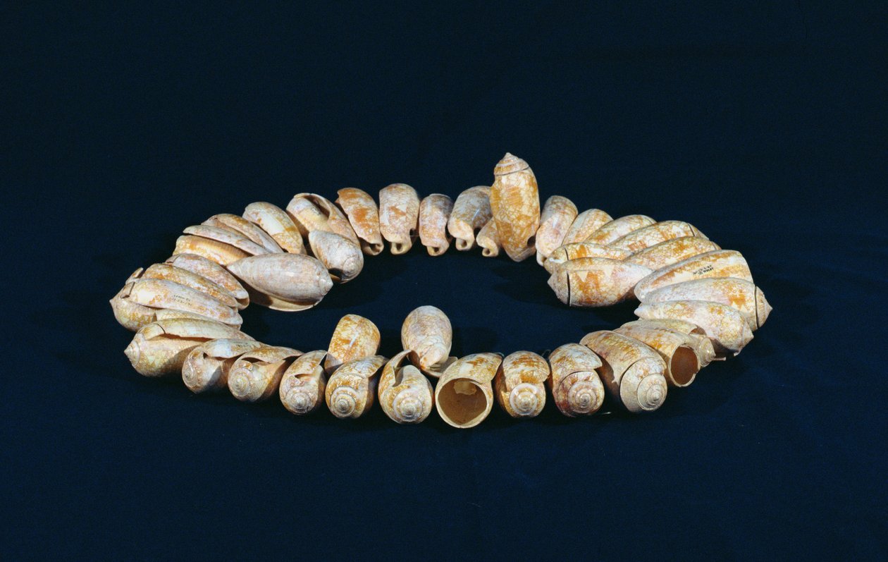Halskjede, fra Topoxte, Peten, Guatemala, Late Classic Period (skall) av Mayan
