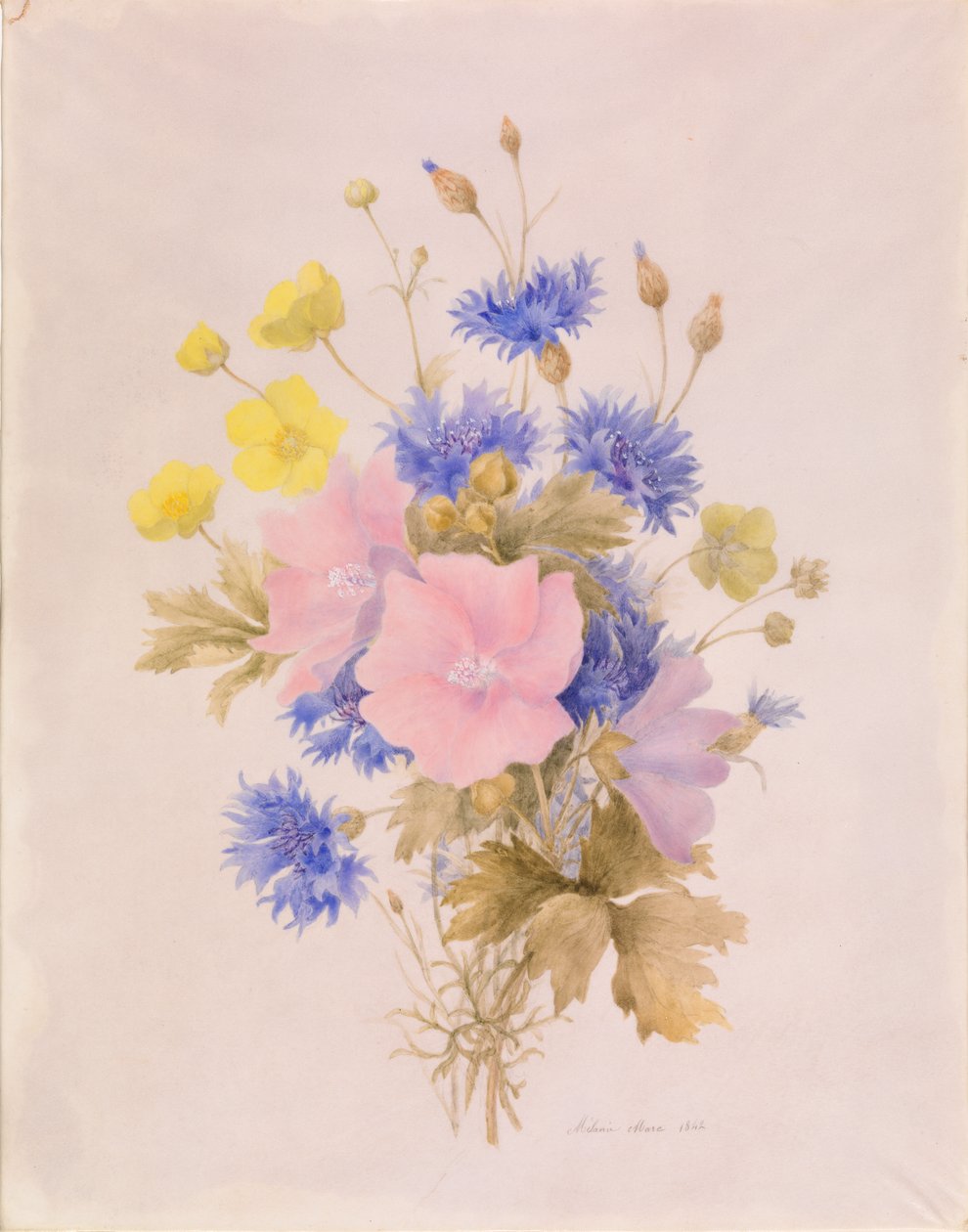 Åkerblomster av Melanie Marc