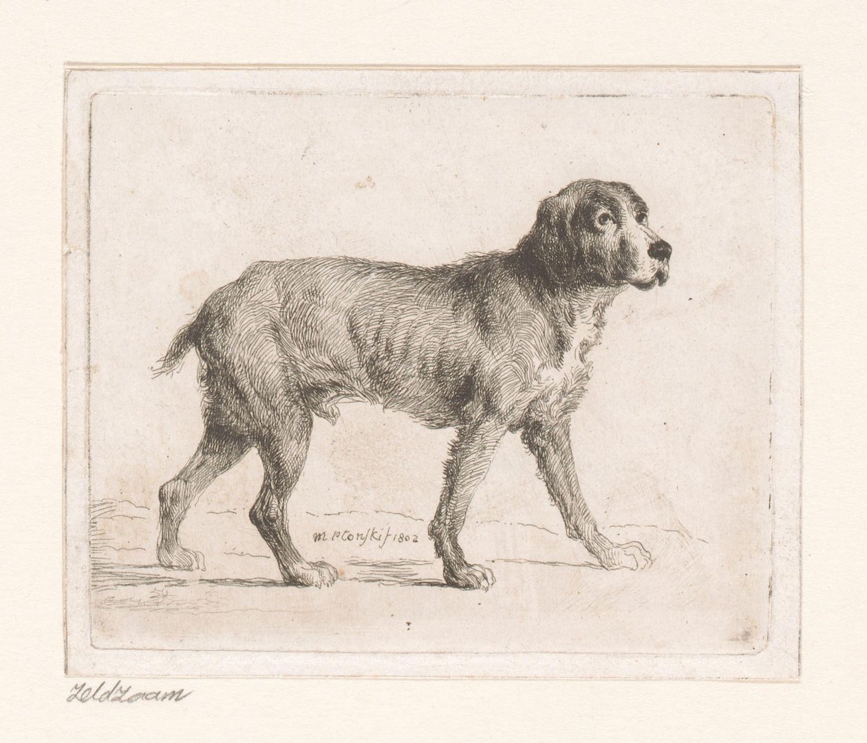 Hund av Michał Płoński