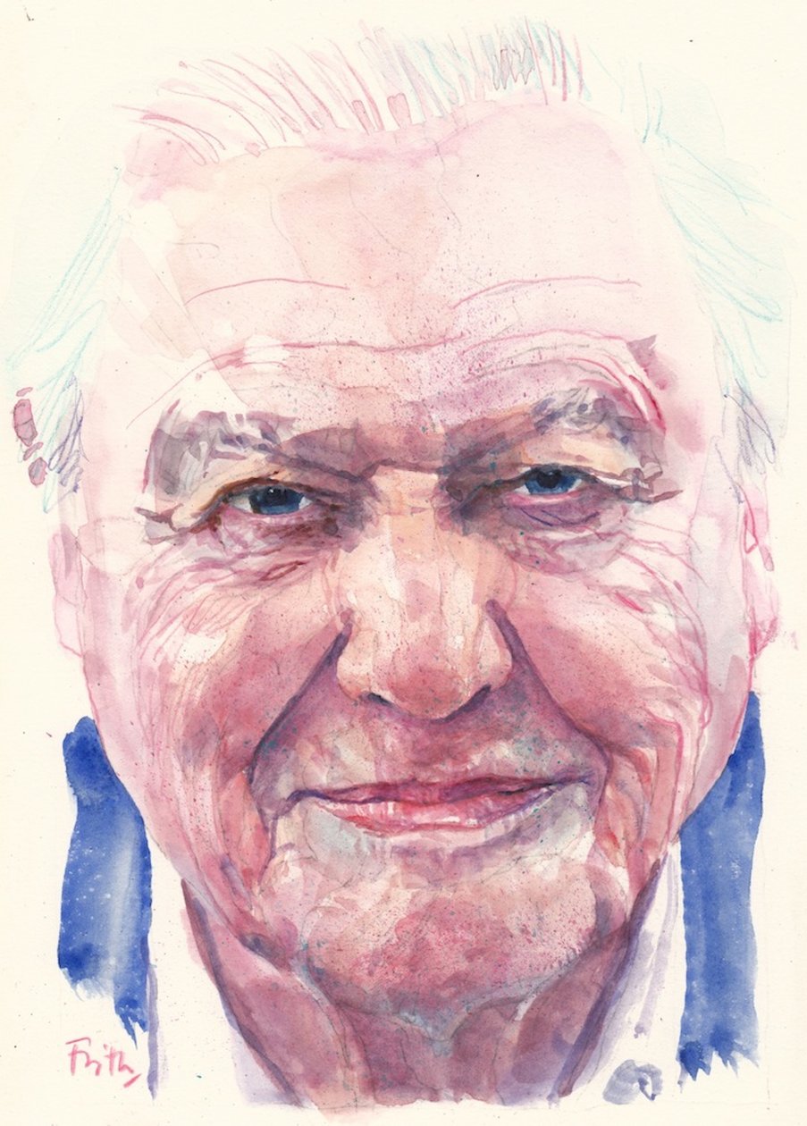 Sir David Attenborough (akvarell) av Michael Frith