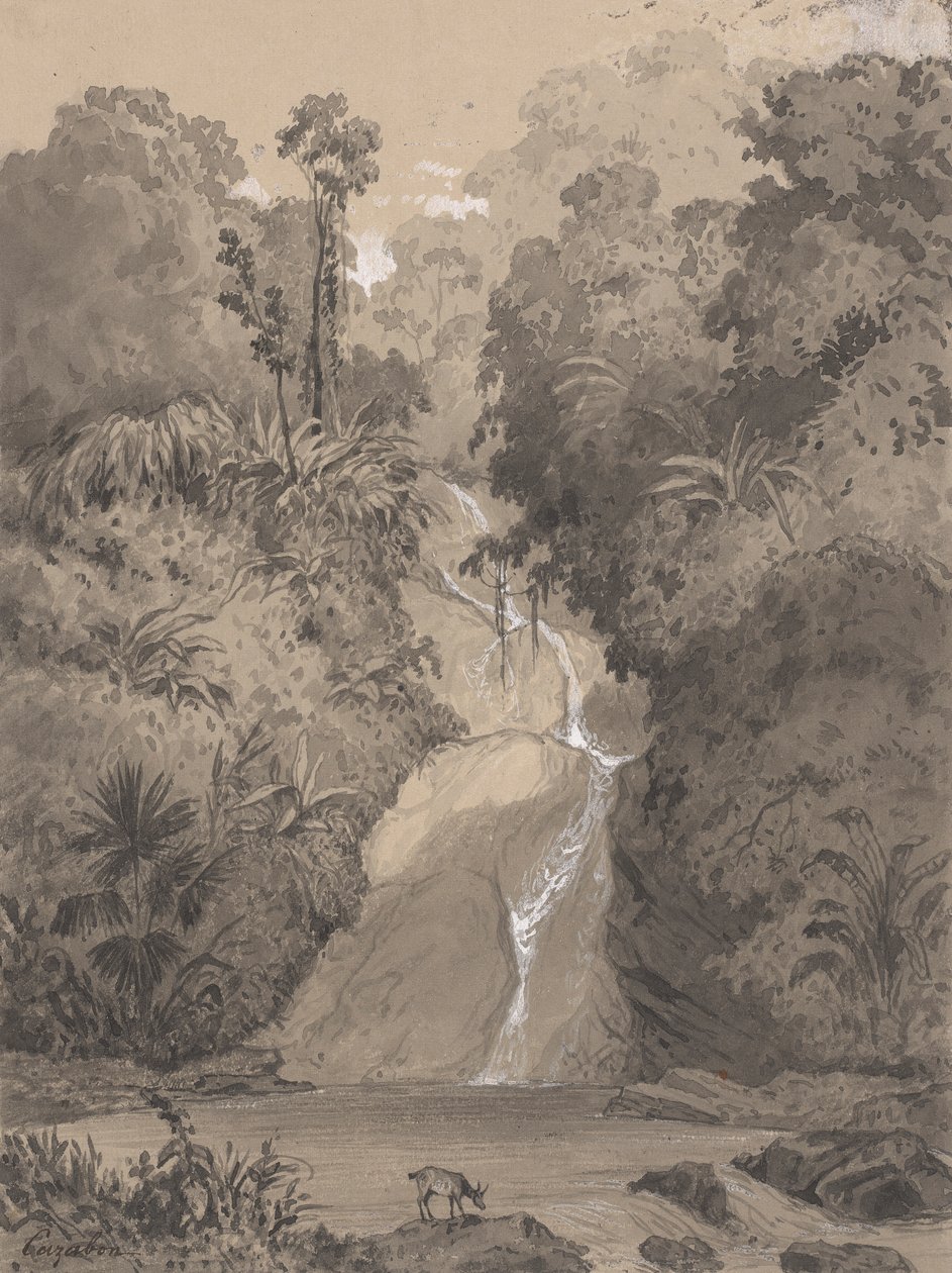 Cascade ved St. Anns av Michel Jean Cazabon