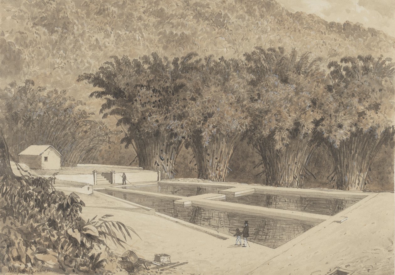 Reservoaret ved Maraval av Michel Jean Cazabon