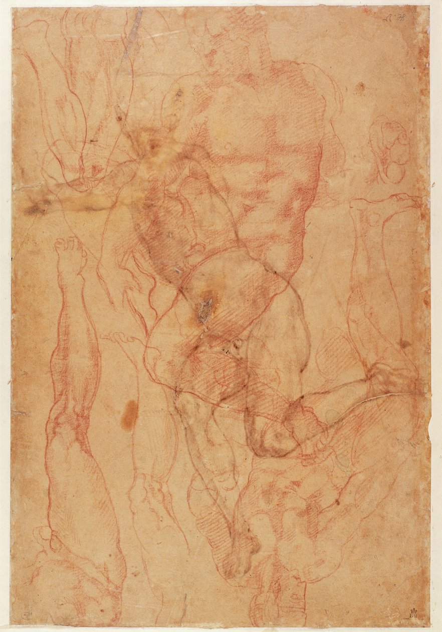 Figurstudie (rødt kritt på papir) av Michelangelo Buonarroti