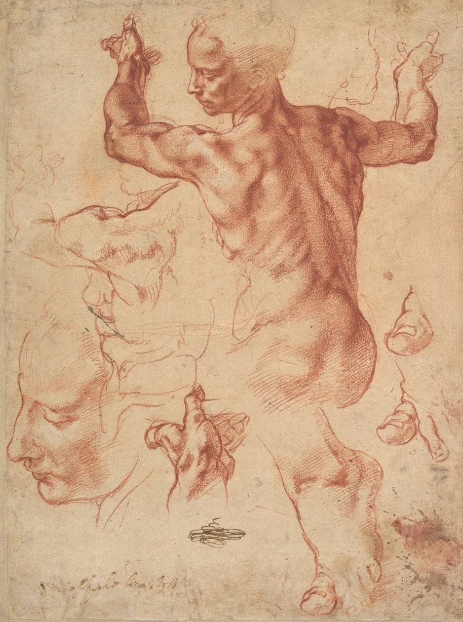 Studies for the Libyan Sibyl (recto), c.1510-11 (rødt kritt på papir) av Michelangelo Buonarroti