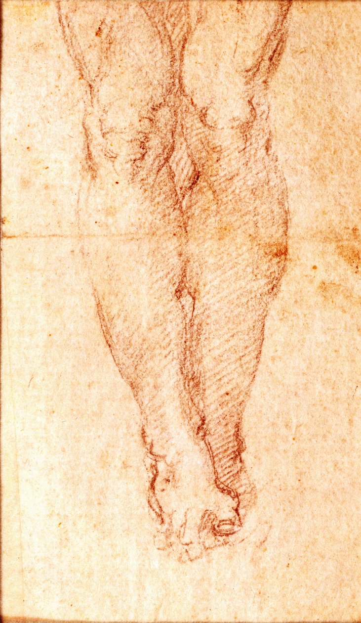 Study for a Crucifixion (svart kritt på papir) av Michelangelo Buonarroti