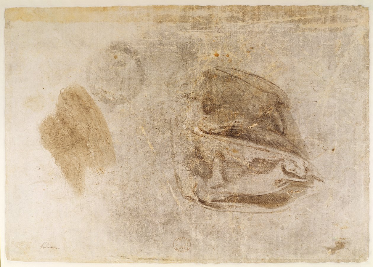 Studie for kappene til Erythraean Sibyl (kull med hvite høylys og brun vask på papir) av Michelangelo Buonarroti