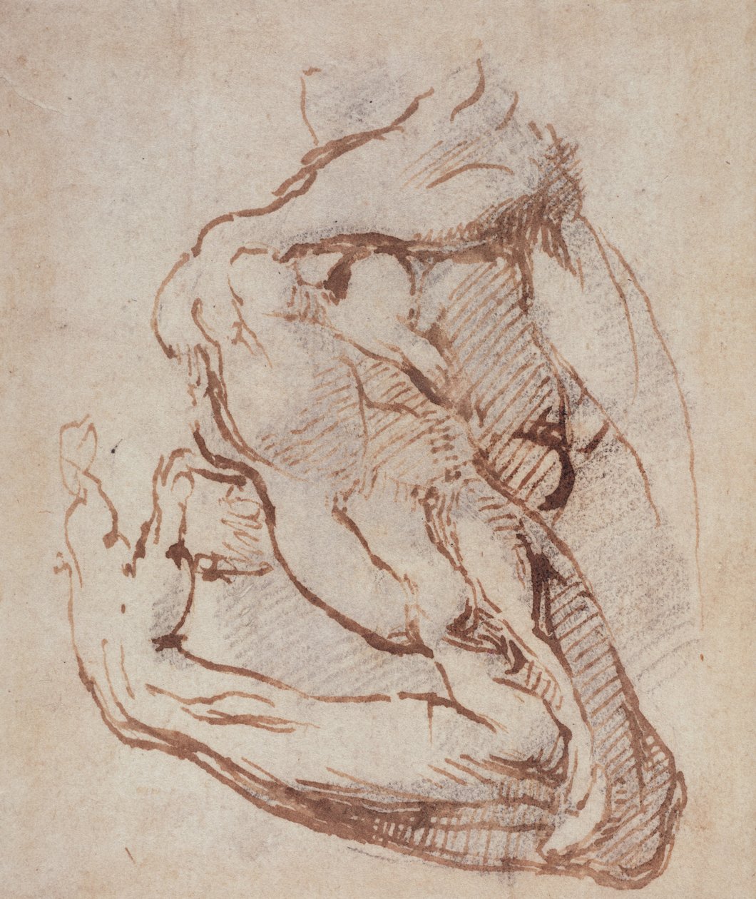 Studie av en arm (blekk) Inv.1859514819 (W.49) av Michelangelo Buonarroti