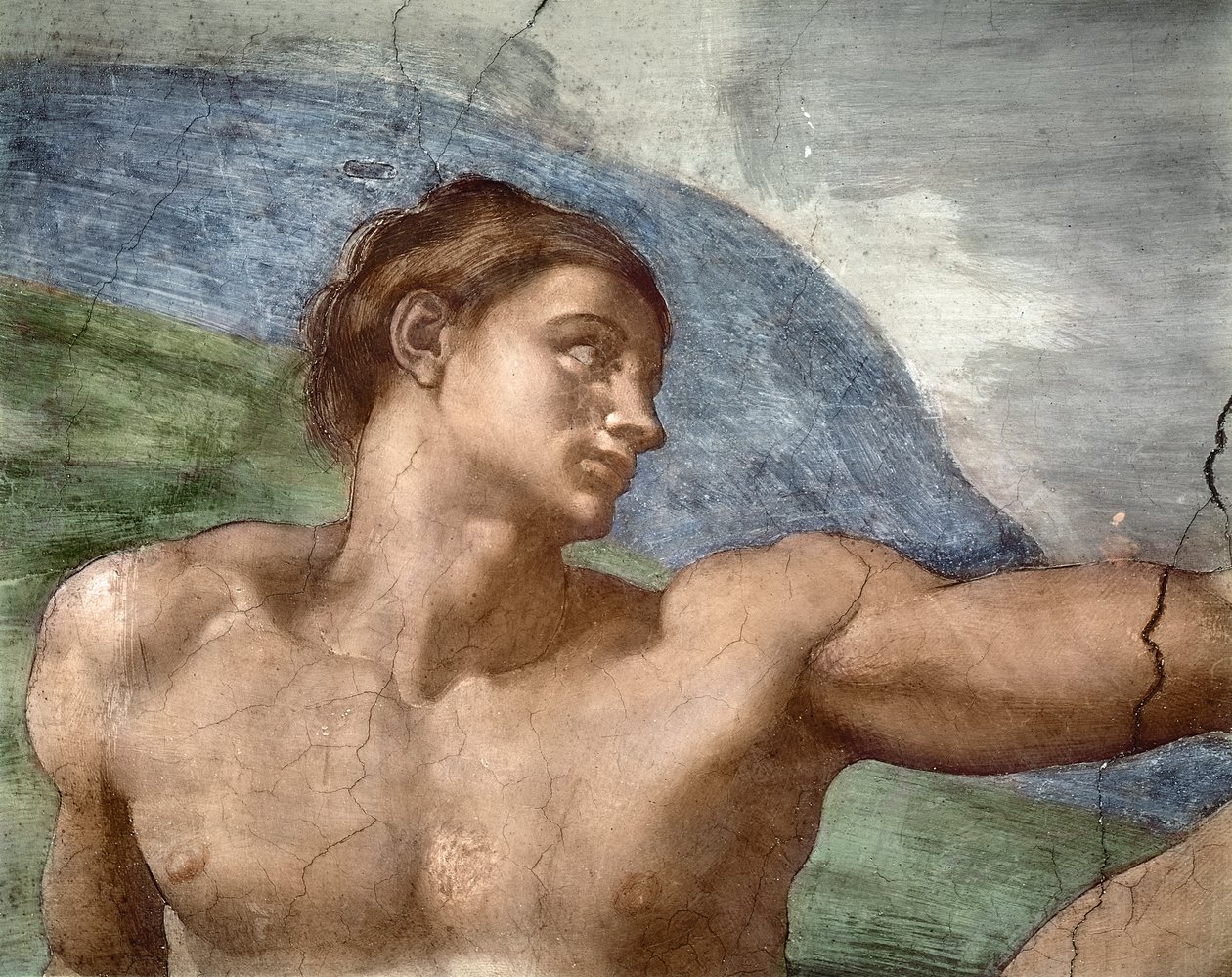 The Creation of Adam, detalj av Adams hode, 1508-12 av Michelangelo Buonarroti