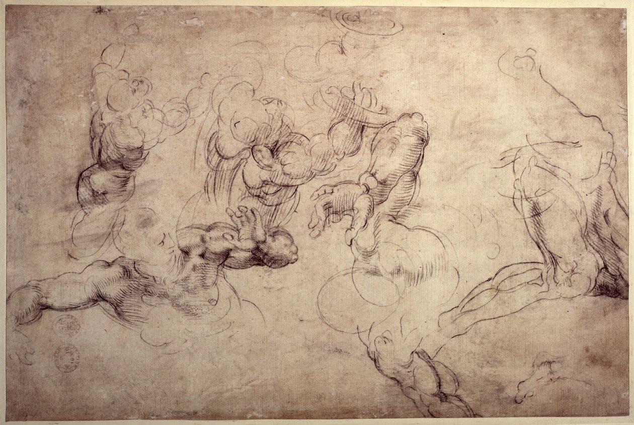 W.61v Mannsfigurstudier av Michelangelo Buonarroti