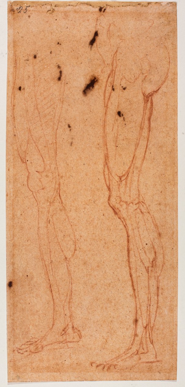  av Michelangelo (after) Buonarroti