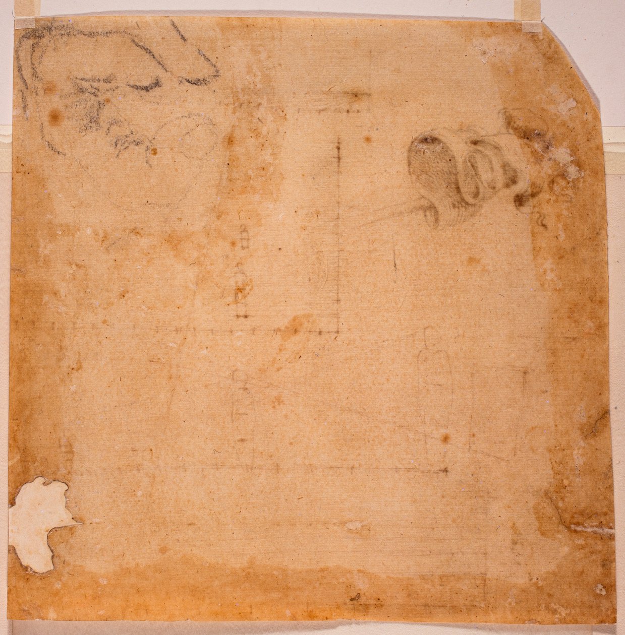  av Michelangelo (after) Buonarroti