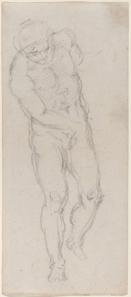 Naken mann [recto] av Michelangelo